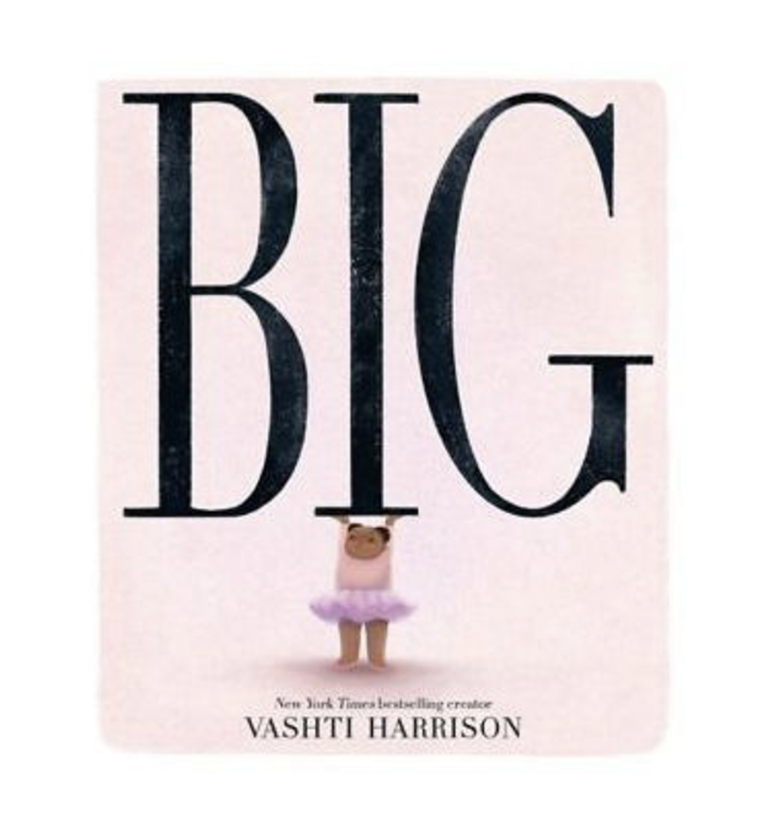 NEW Big Book by Vashti Harrison